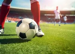 揭秘海港队,三冠王传奇,十年如一日,开云·体育APP下载,开门见喜,Kaiyun,Sports,官方网站