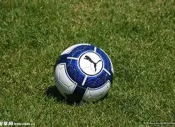 开云,体育,资讯,开云·体育APP下载,开门见喜,Kaiyun,Sports,官方网站