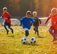 重磅揭晓,河南队舵手,拉莫斯荣获,开云·体育APP下载,开门见喜,Kaiyun,Sports,官方网站