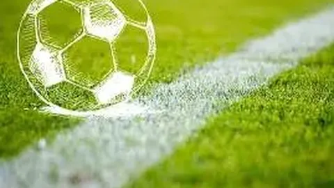 费迪南德揭秘约罗送礼失误：足球狂潮中的苦涩教训，如何化挫折为奋进动力？