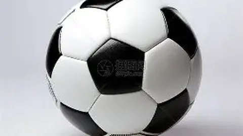 开云APP体育 资讯 102603 4dd