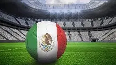 开云APP体育 资讯 102445 rzq