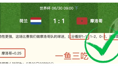 开云体育 140558 79